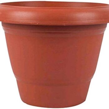 Hard Pot Orange 10 inch (Pack of 3)