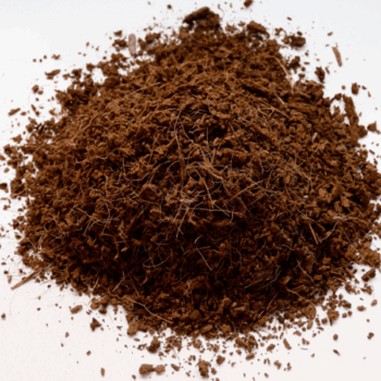 Coco Peat -5kg Loose Powder